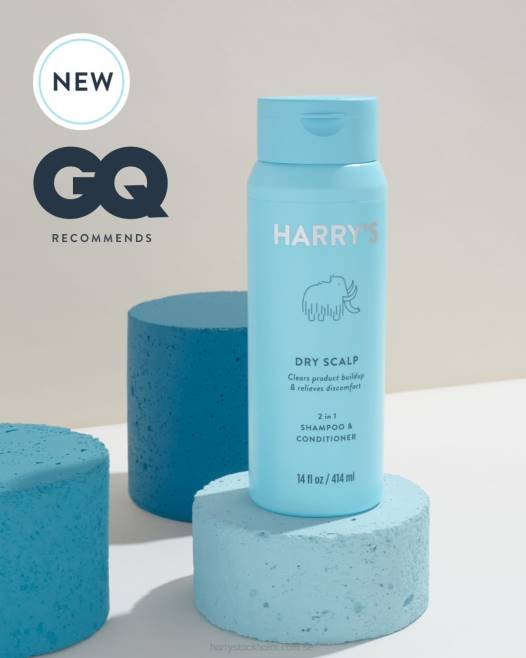 Harry's torr hårbotten 2 i 1 schampo och balsam 824J33